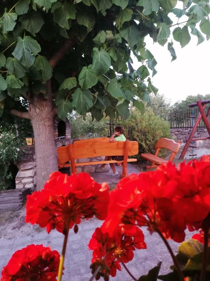 Szentesi Panzio Bed and Breakfast Fertőrákos Buitenkant foto