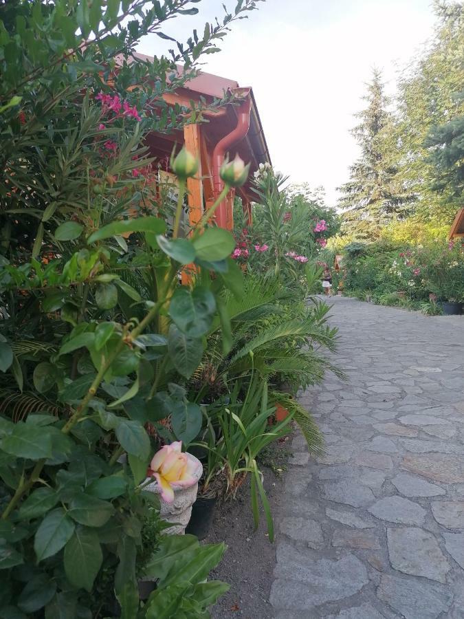 Szentesi Panzio Bed and Breakfast Fertőrákos Buitenkant foto