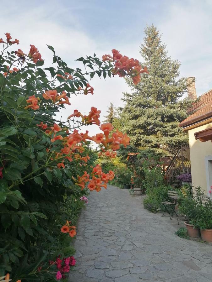 Szentesi Panzio Bed and Breakfast Fertőrákos Buitenkant foto