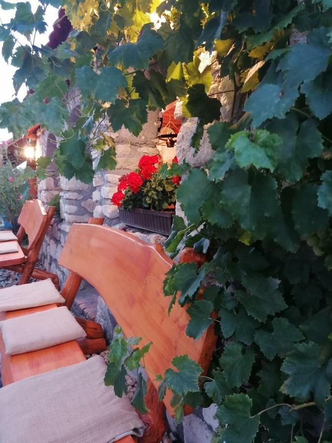 Szentesi Panzio Bed and Breakfast Fertőrákos Buitenkant foto