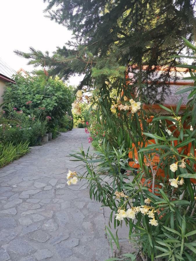 Szentesi Panzio Bed and Breakfast Fertőrákos Buitenkant foto